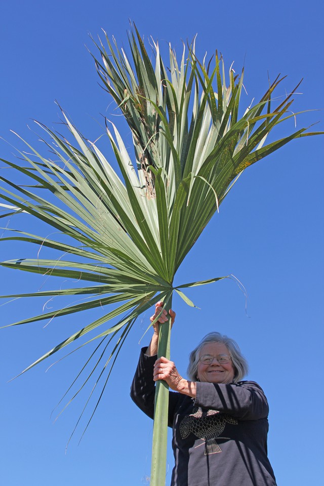 Palm frond and Karen 1000